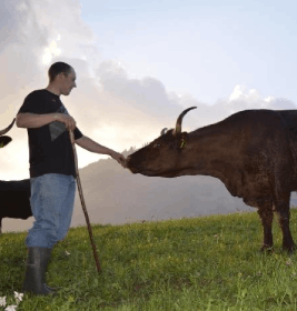 Élevage Responsable animaux